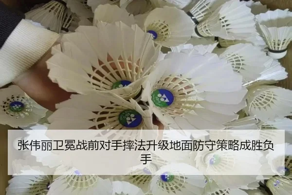 张伟丽卫冕战前对手摔法升级地面防守策略成胜负手